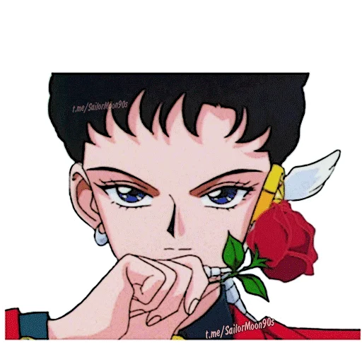 🌹 Стикер «Sailor Starlight» для Telegram