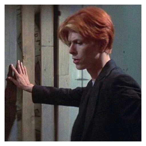 🥵 Стикер «David Bowie 5 Дэвид Боуи» для Telegram