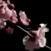 Стикер 58 sub