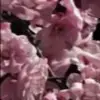 Стикер 49 sub