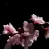 Стикер 52 sub