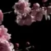 Стикер 42 sub