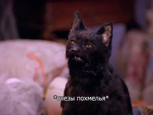 🤮 Стикер «SALEM MEOW» для Telegram