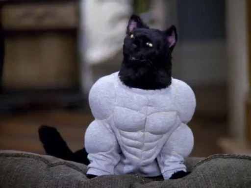 💪 Стикер «SALEM MEOW» для Telegram
