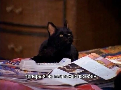 💸 Стикер «SALEM MEOW» для Telegram