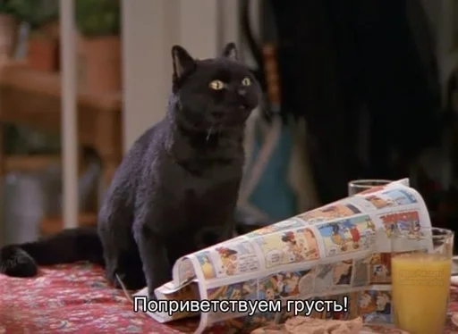 👋 Стикер «SALEM MEOW» для Telegram