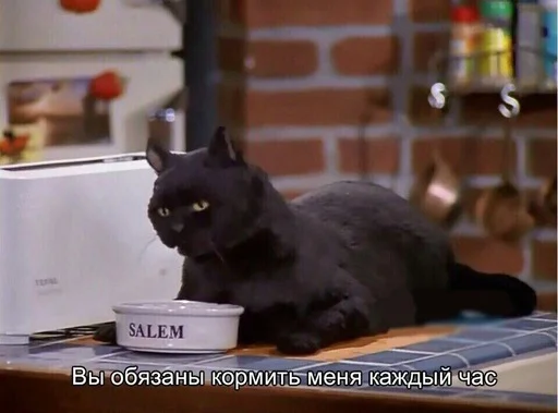 🥘 Стикер «SALEM MEOW» для Telegram