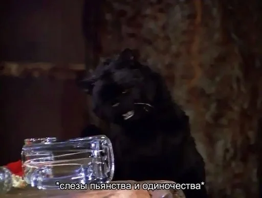 🥴 Стикер «SALEM MEOW» для Telegram