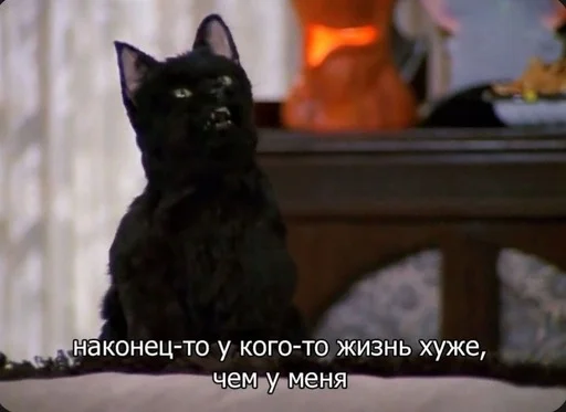 😆 Стикер «SALEM MEOW» для Telegram