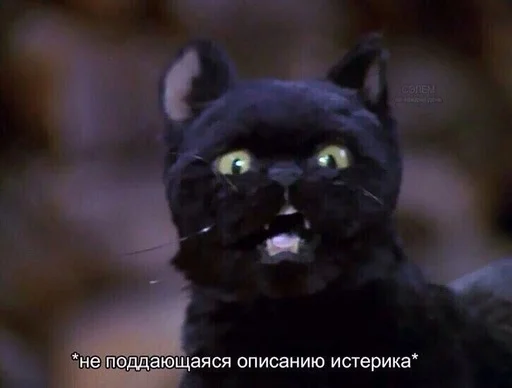 🫨 Стикер «SALEM MEOW» для Telegram