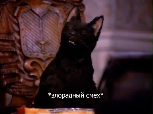 🤣 Стикер «SALEM MEOW» для Telegram