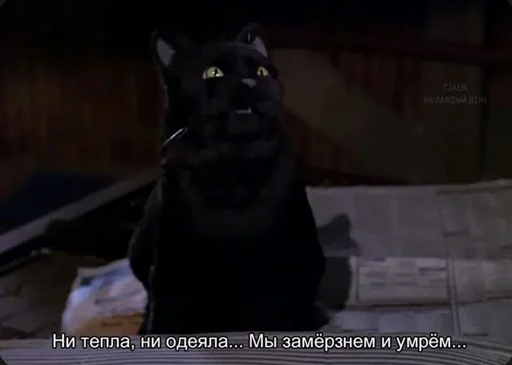 🥺 Стикер «SALEM MEOW» для Telegram