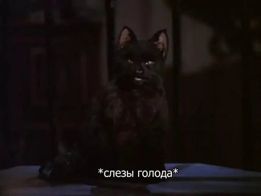 😓 Стикер «SALEM MEOW» для Telegram