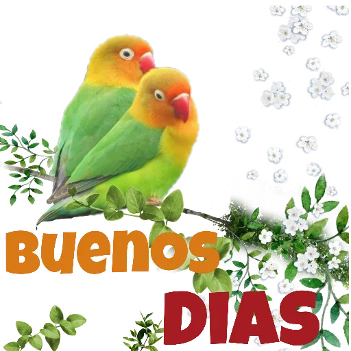 ☀️ Стикер «Saludos casuales» для Telegram