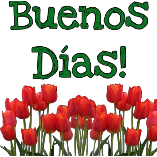 🌹 Стикер «Saludos casuales» для Telegram