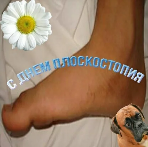 🎉 Стикер «конференция оон в накарагуа» для Telegram