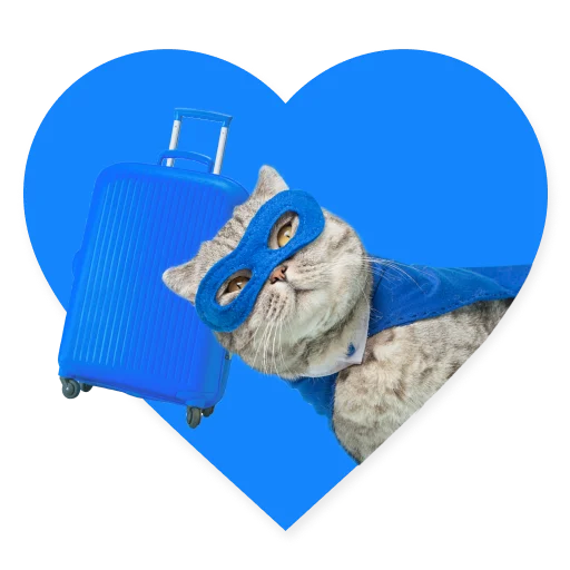 😺 Стикер «СамоКот» для Telegram