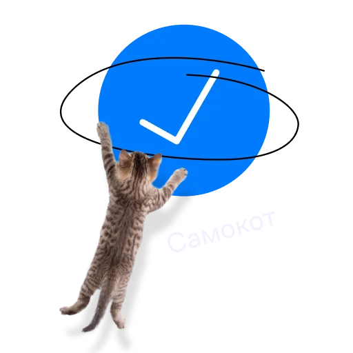 😺 Стикер «СамоКот» для Telegram