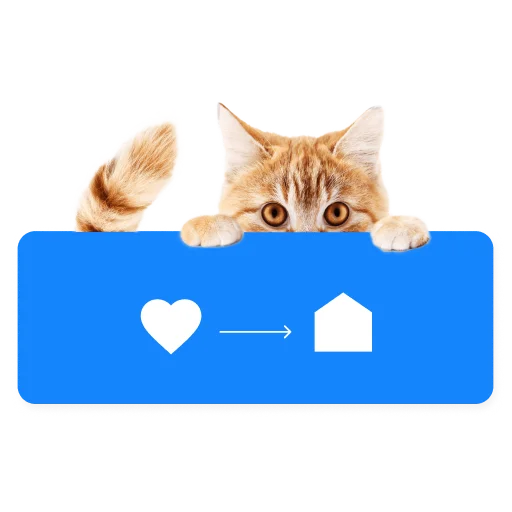 😺 Стикер «СамоКот» для Telegram