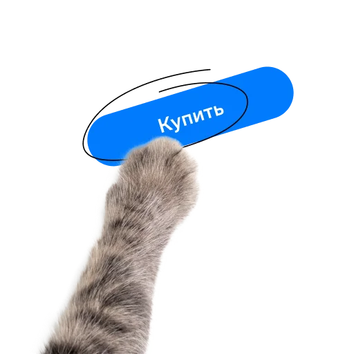 😺 Стикер «СамоКот» для Telegram