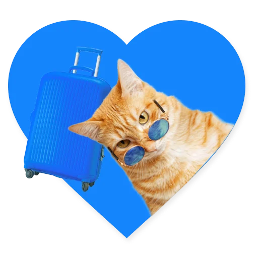 😺 Стикер «СамоКот» для Telegram