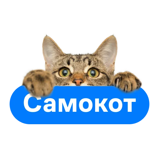 Стикерпак СамоКот для Telegram