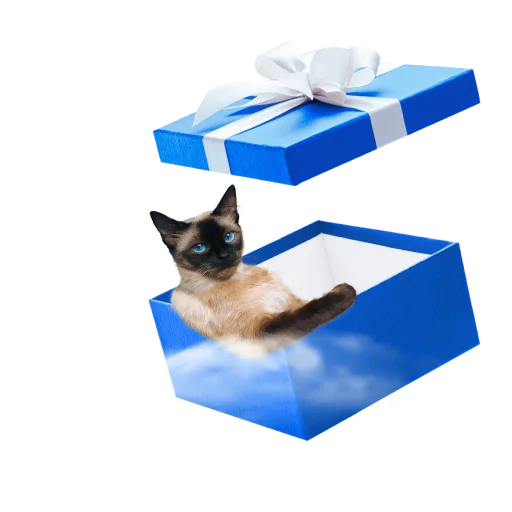 😺 Стикер «СамоКот» для Telegram