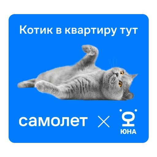 😺 Стикер «СамоКот» для Telegram