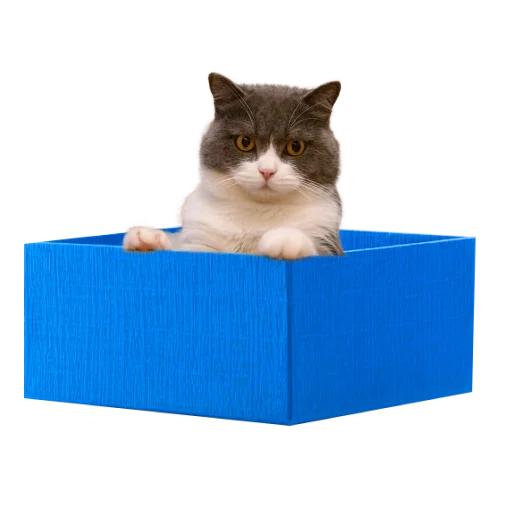 😺 Стикер «СамоКот» для Telegram