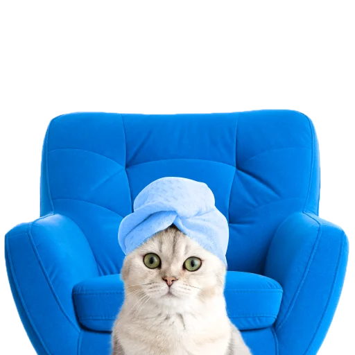 😺 Стикер «СамоКот» для Telegram