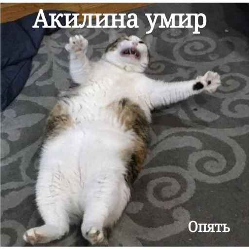 💀 Стикер «SanderWolf&;s stickers» для Telegram