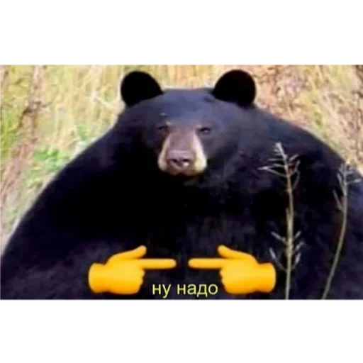 👉 Стикер «SanderWolf&;s stickers» для Telegram
