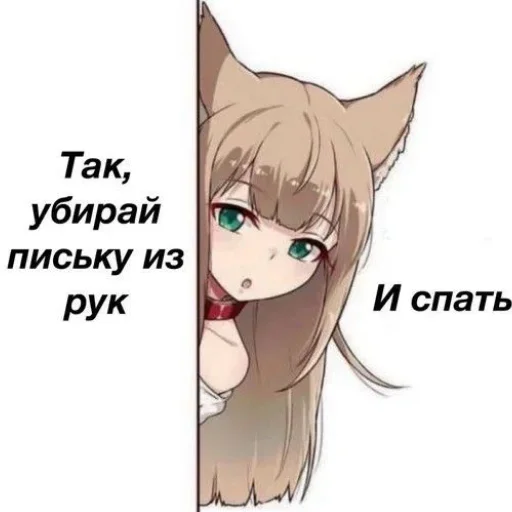 😴 Стикер «SanderWolf&;s stickers» для Telegram