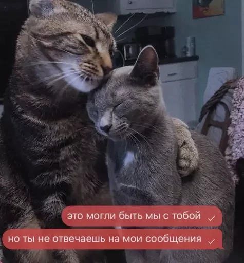 🙄 Стикер «aa.lapandina» для Telegram