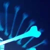 Стикер 8 Sans the skeleton