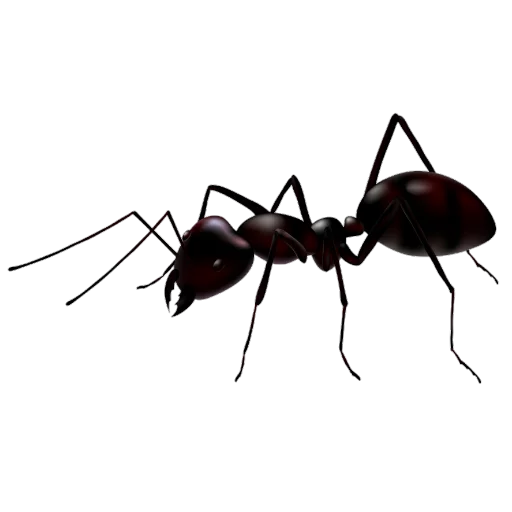 🐜 Стикер «Santai» для Telegram