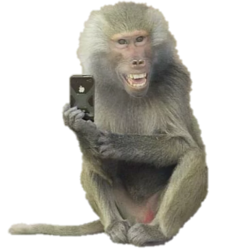 🐒 Стикер «Santai» для Telegram