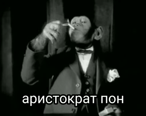 🦧 Стикер «Пон» для Telegram