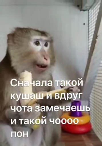 😮 Стикер «Пон» для Telegram