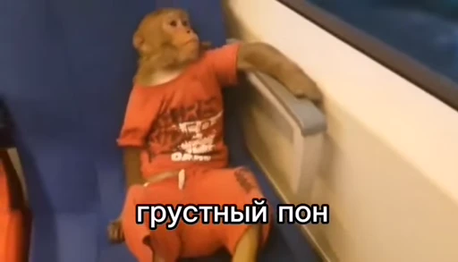 😔 Стикер «Пон» для Telegram