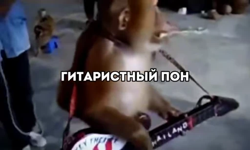 🦧 Стикер «Пон» для Telegram