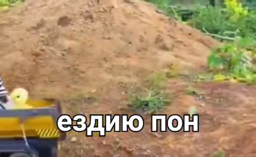 🦧 Стикер «Пон» для Telegram