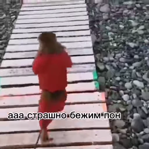 🦧 Стикер «Пон» для Telegram