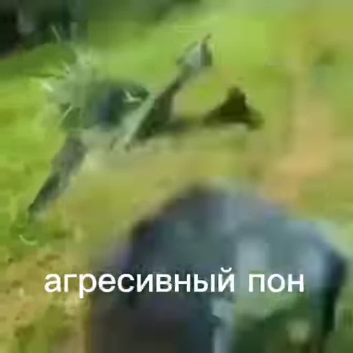 🦧 Стикер «Пон» для Telegram