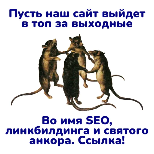 🐀 Стикер «SEO stickers» для Telegram