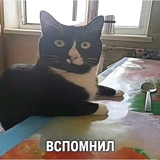🤯 Стикер «вуе» для Telegram