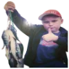 🎣 Эмодзи «Sasavot» для Telegram