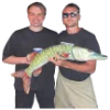🐟 Эмодзи «Sasavot» для Telegram