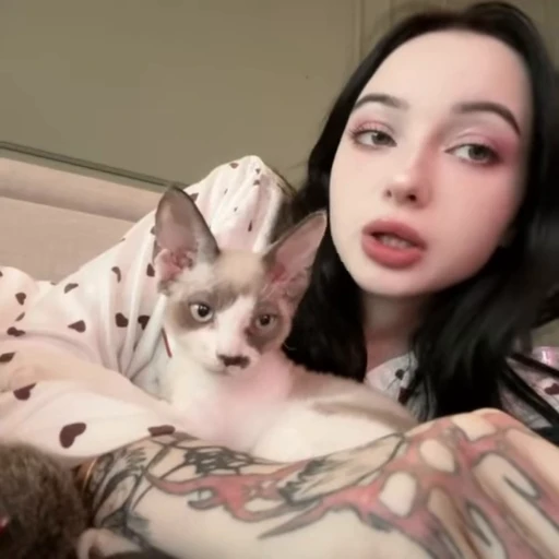 😽 Стикер «саша» для Telegram