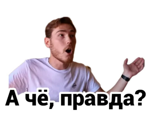 ❓ Стикер «Чайку под чаёк» для Telegram